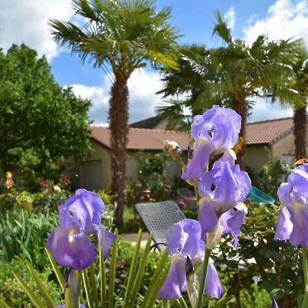 Beautiful With Courtyard בית נופש Calamane
